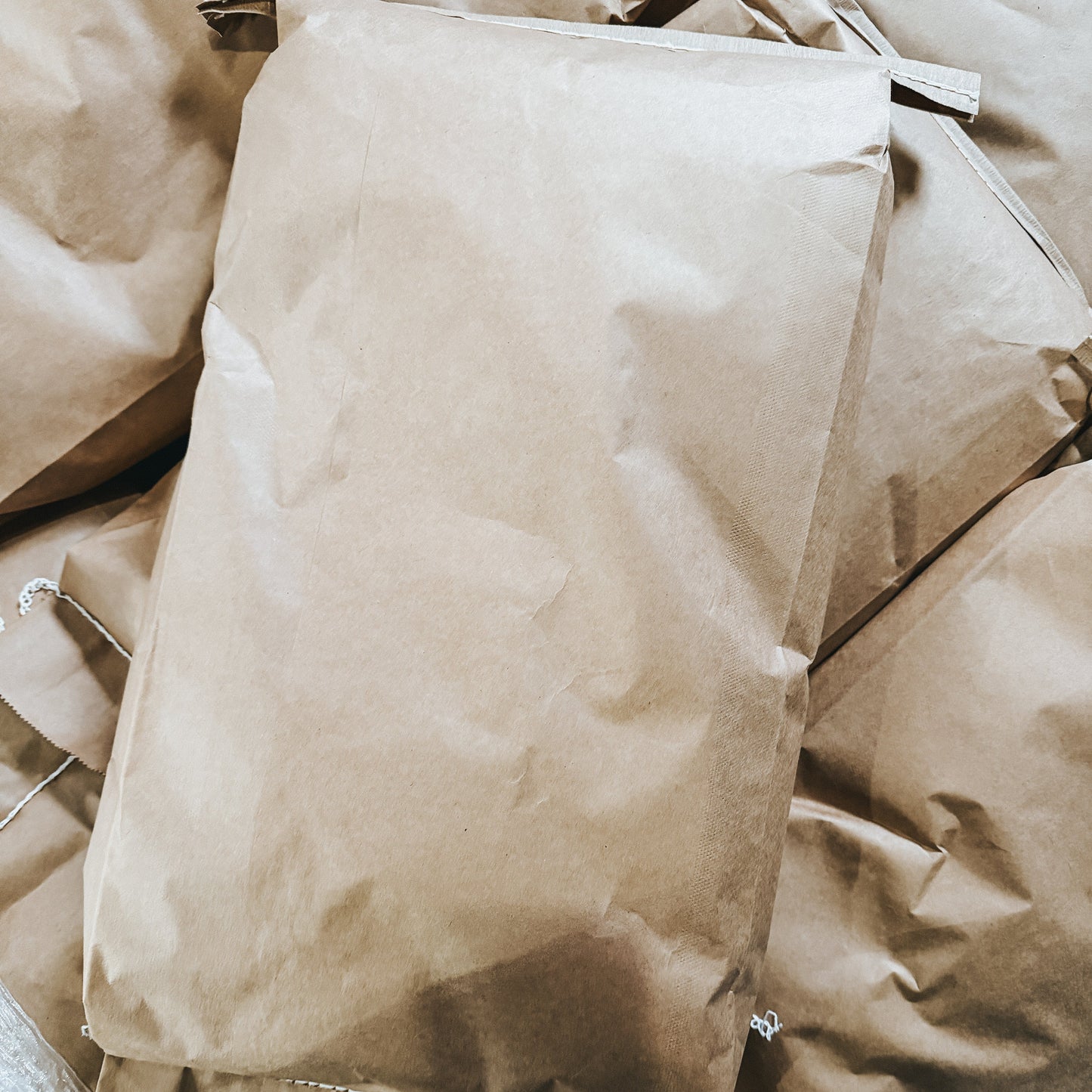 Bag of Popcorn - 25lbs